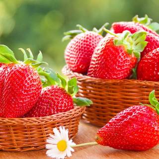 Fruit bowl wallpaper