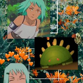 Fuu Naruto wallpaper