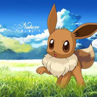 Cute Pokémon Eevee wallpaper