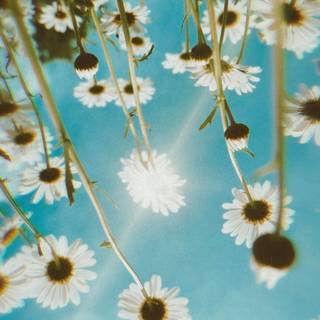 1080x1920 spring cottage wallpaper