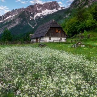 1080x1920 spring cottage wallpaper