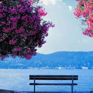 Spring dual monitors wallpaper