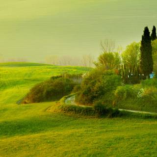 Spring dual monitors wallpaper