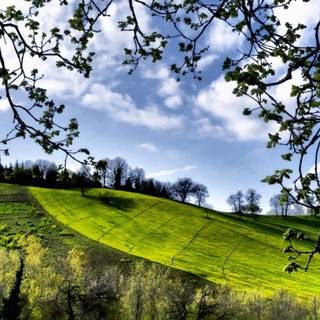 Spring dual monitors wallpaper