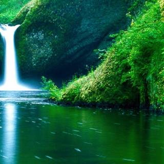 Spring dual monitors wallpaper