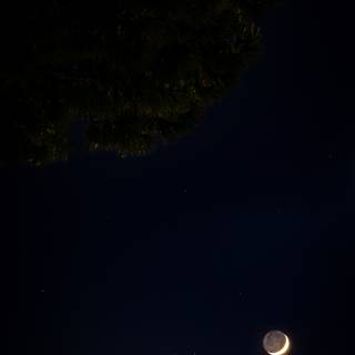 Night shadow wallpaper