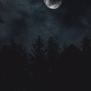 Night shadow wallpaper