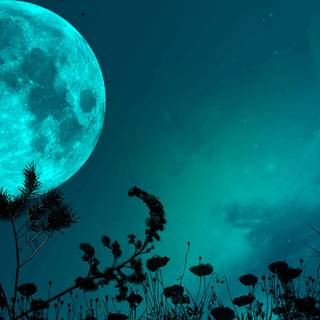 Night shadow wallpaper