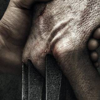 Logan logo wallpaper