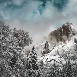 Snow winter 1080x1920 wallpaper