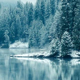 Snow winter 1080x1920 wallpaper