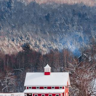 Snow winter 1080x1920 wallpaper