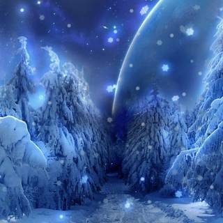 Snow winter 1080x1920 wallpaper