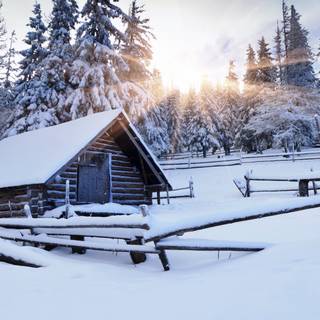 Snow winter 1080x1920 wallpaper