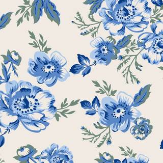 Preppy Chromebook wallpaper