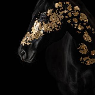 Golden horse wallpaper