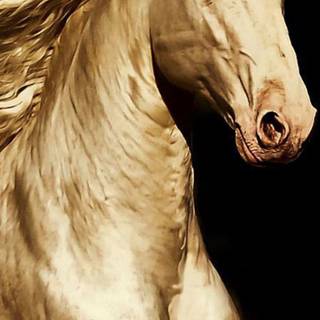 Golden horse wallpaper