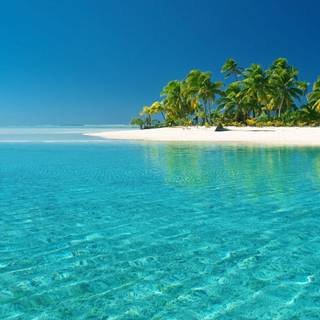 Caribbean sea wallpaper