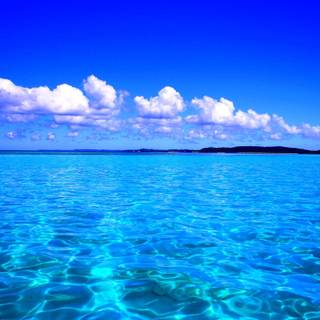 Caribbean sea wallpaper