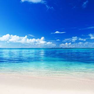 Caribbean sea wallpaper