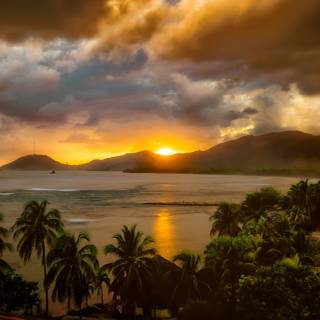 Caribbean sea wallpaper