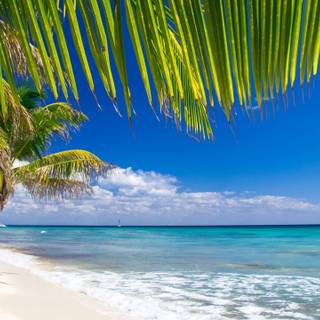 Caribbean sea wallpaper
