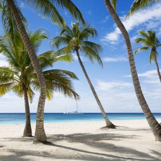 Caribbean sea wallpaper