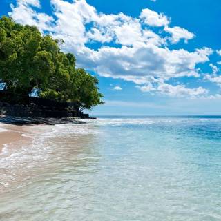 Caribbean sea wallpaper