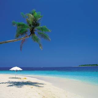 Caribbean sea wallpaper