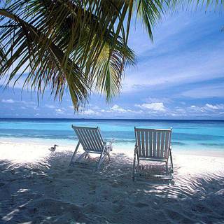 Caribbean sea wallpaper