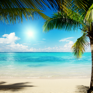 Caribbean sea wallpaper