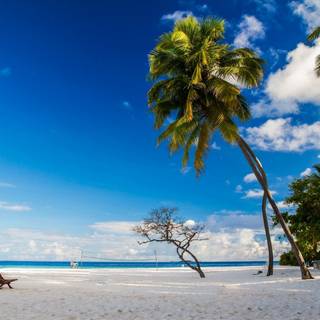 Caribbean sea wallpaper