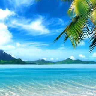 Caribbean sea wallpaper