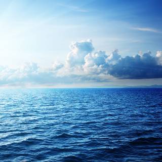 Caribbean sea wallpaper