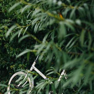 Green bike wallpaper