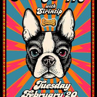 Snarky Puppy wallpaper