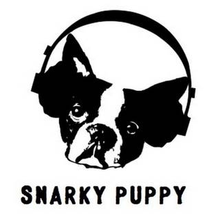 Snarky Puppy wallpaper