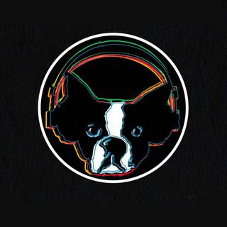 Snarky Puppy wallpaper