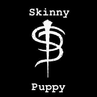 Snarky Puppy wallpaper