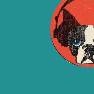 Snarky Puppy wallpaper