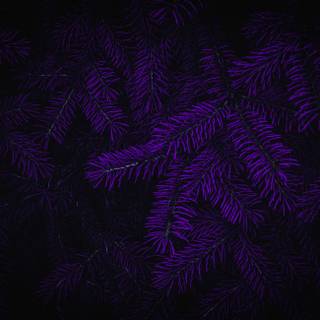 Dark purple aesthetic PC wallpaper
