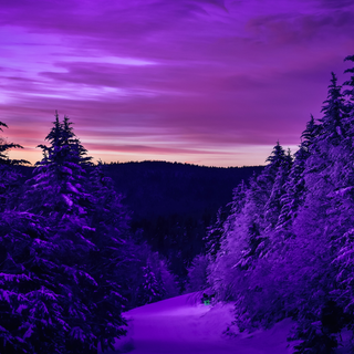 Dark purple aesthetic PC wallpaper