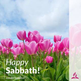 Happy Sabbath wallpaper