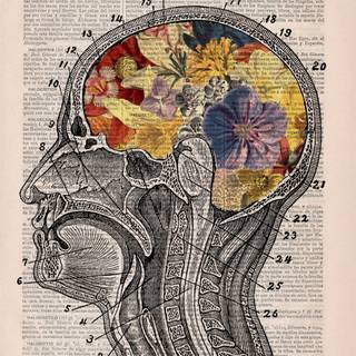 iPhone discipline HD wallpaper