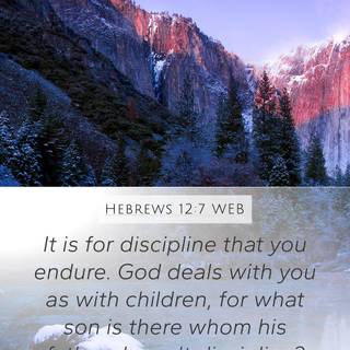 iPhone discipline HD wallpaper