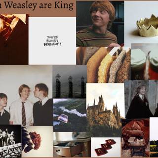 Ron Weasley computer wallpaper