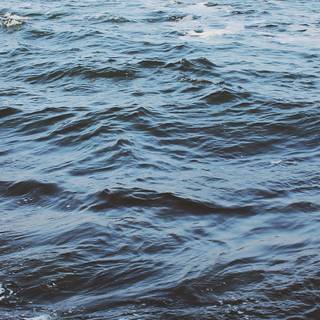 iPhone 11 sea wallpaper