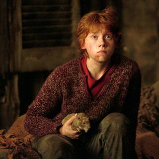 Ron Weasley computer wallpaper