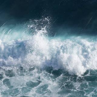 iPhone 11 sea wallpaper