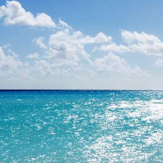 iPhone 11 sea wallpaper